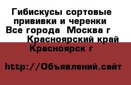 Гибискусы сортовые, прививки и черенки - Все города, Москва г.  »    . Красноярский край,Красноярск г.